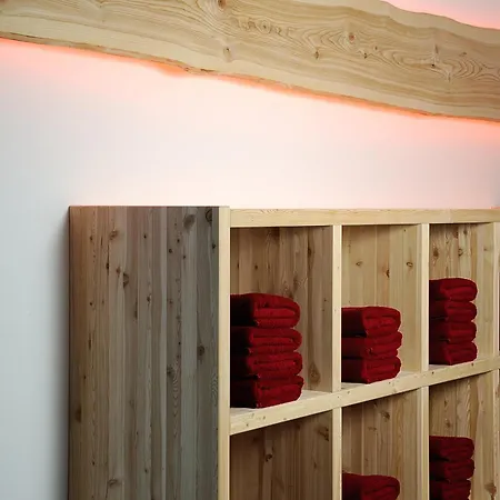 查萨阿尔塔纳旅馆 * 伊施格尔